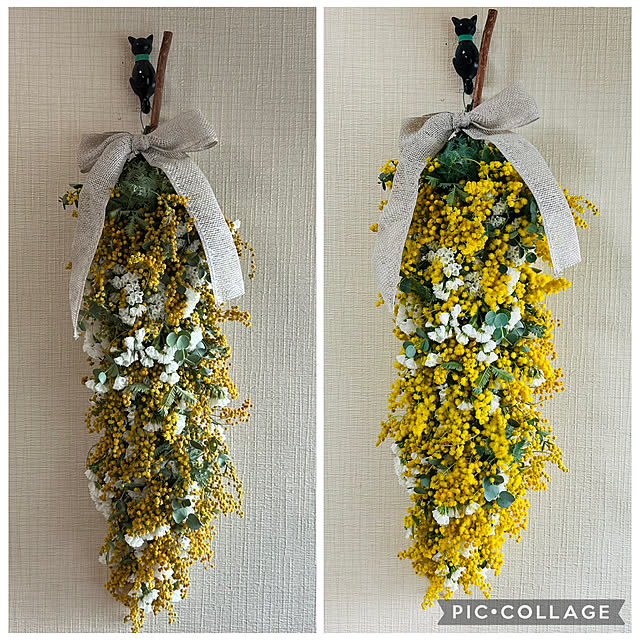 mizucchiさんの実例写真