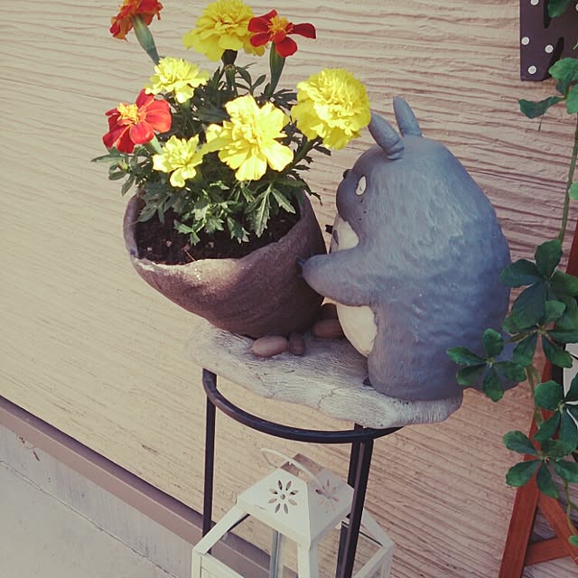 miiiiさんの実例写真