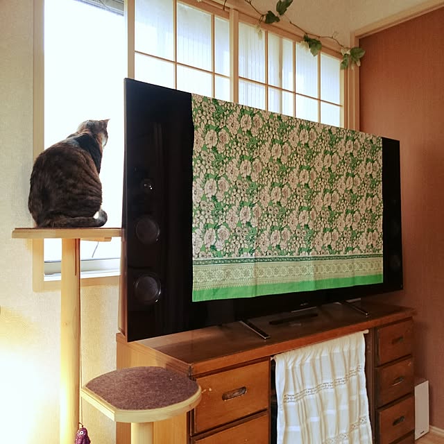 mofukoさんの実例写真