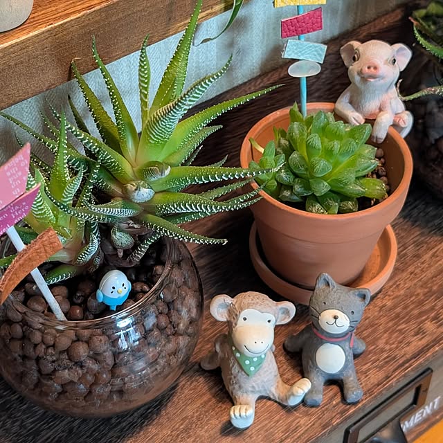 naoporonさんの部屋