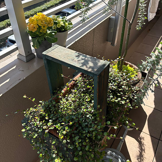 wwwさんの実例写真