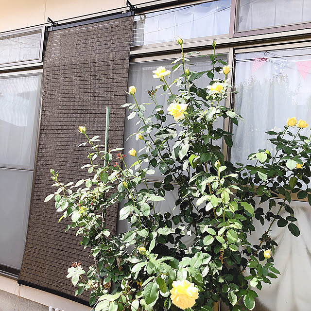 hama1219さんの実例写真
