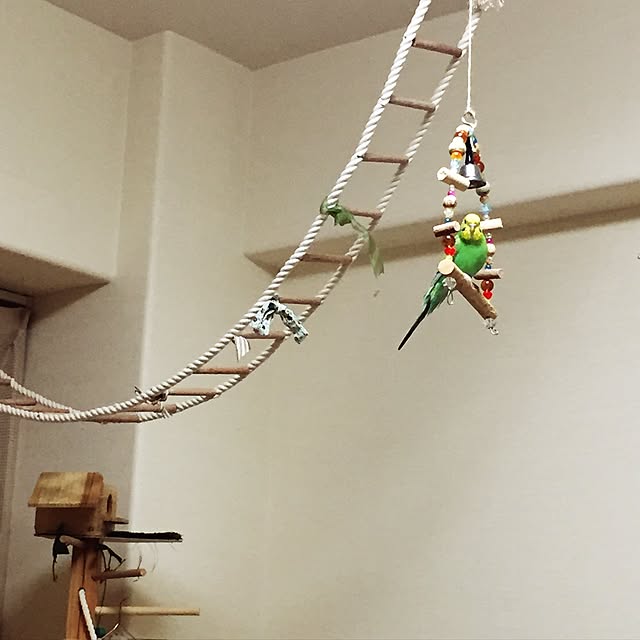 toratanさんの実例写真