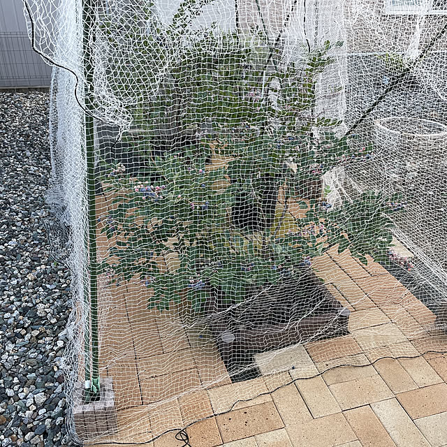 sakabe_shinさんの部屋
