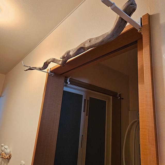 mogmogさんの部屋