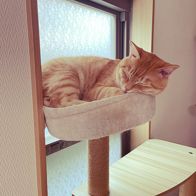 chiiさんの実例写真