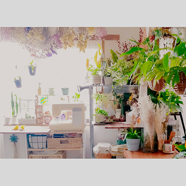 haruさんの実例写真