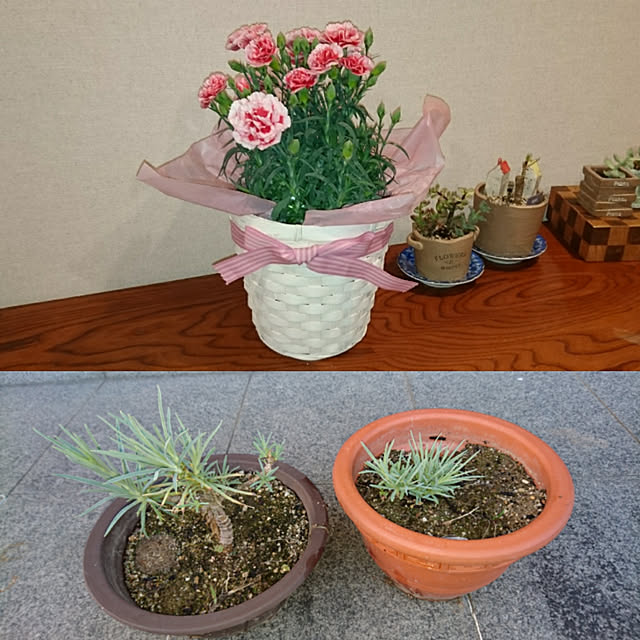 akesanさんの実例写真