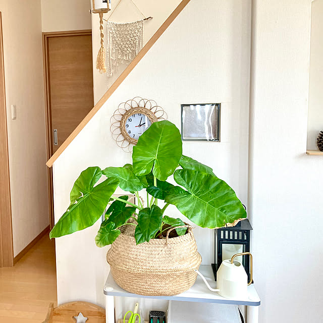 merutoさんの部屋
