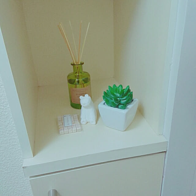玄関/入り口/一人暮らし/フェイクグリーン/多肉植物/観葉植物のインテリア実例 - 2019-04-27 00:01:59