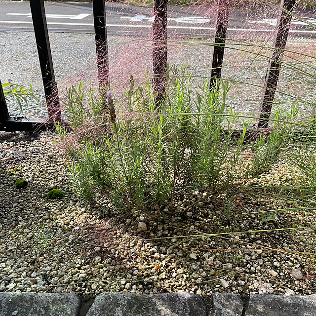 shin0719さんの部屋