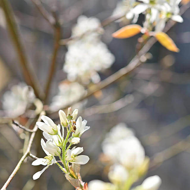 mikigumaさんの部屋