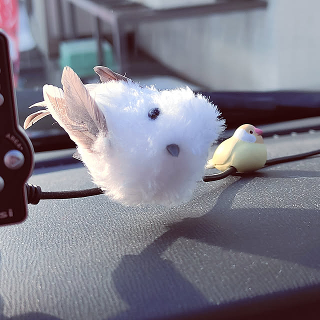 kiraさんの実例写真
