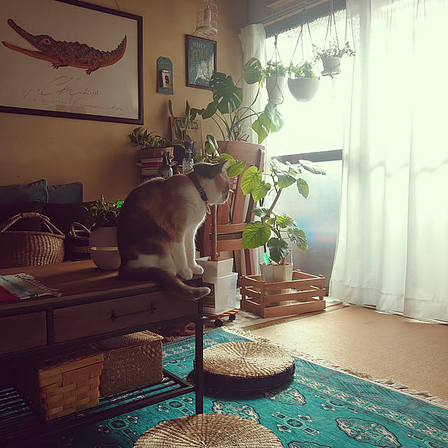 fukuさんの実例写真