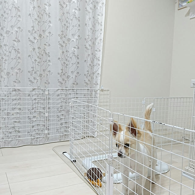 PAOさんの実例写真