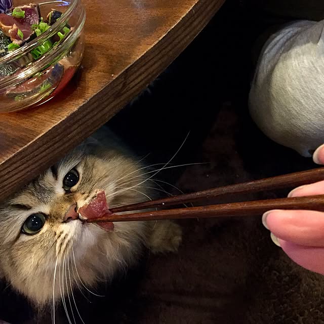 butachanさんの実例写真