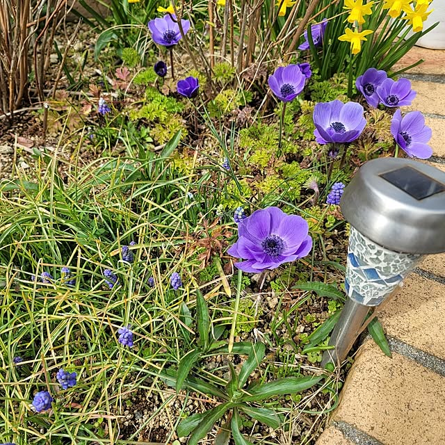 VIORAさんの部屋