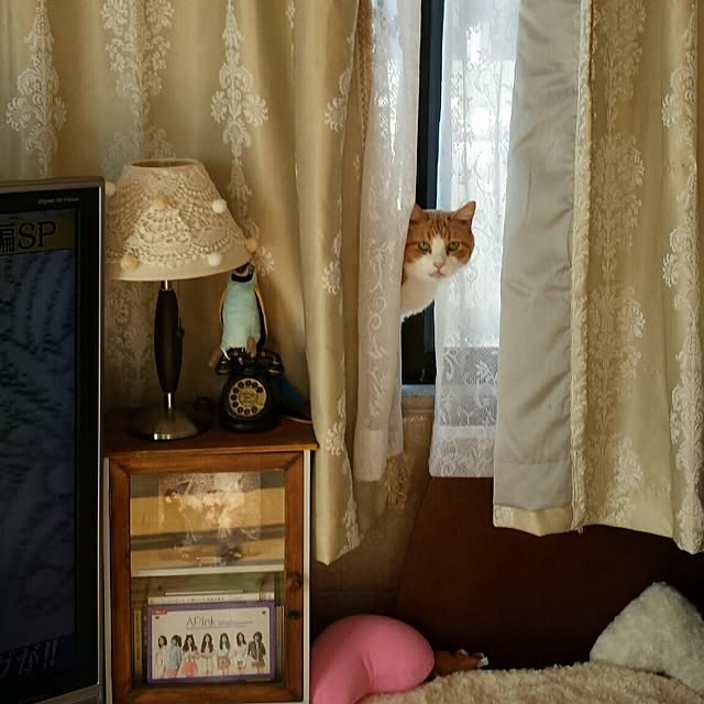 sangoさんの実例写真