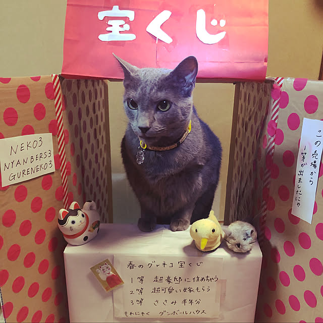 roshi3さんの実例写真