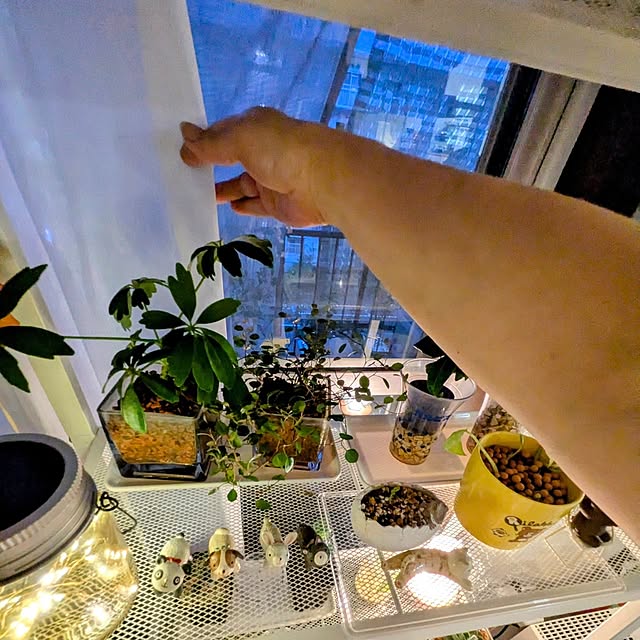 mi-saさんの部屋
