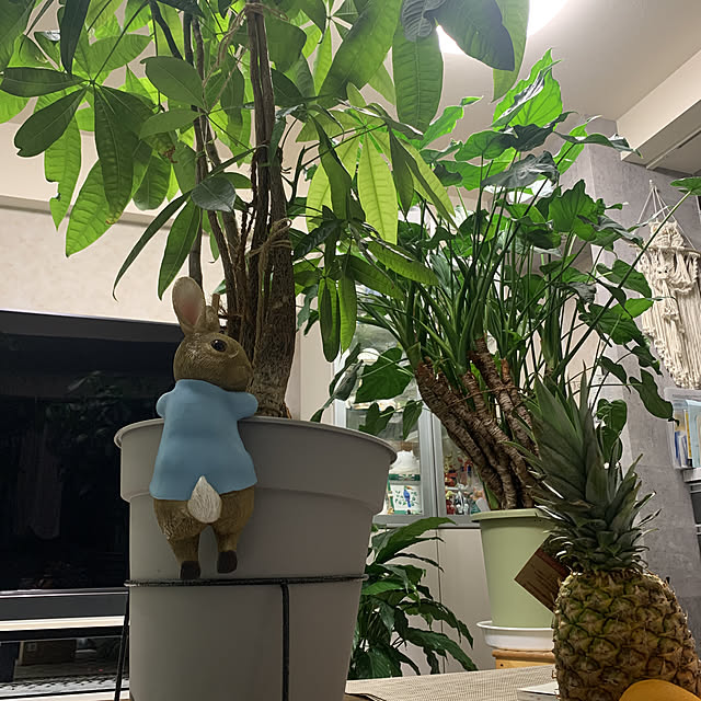 Aqettyさんの実例写真