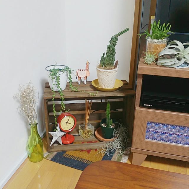 cccさんの実例写真