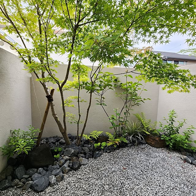 gon_hausさんの実例写真
