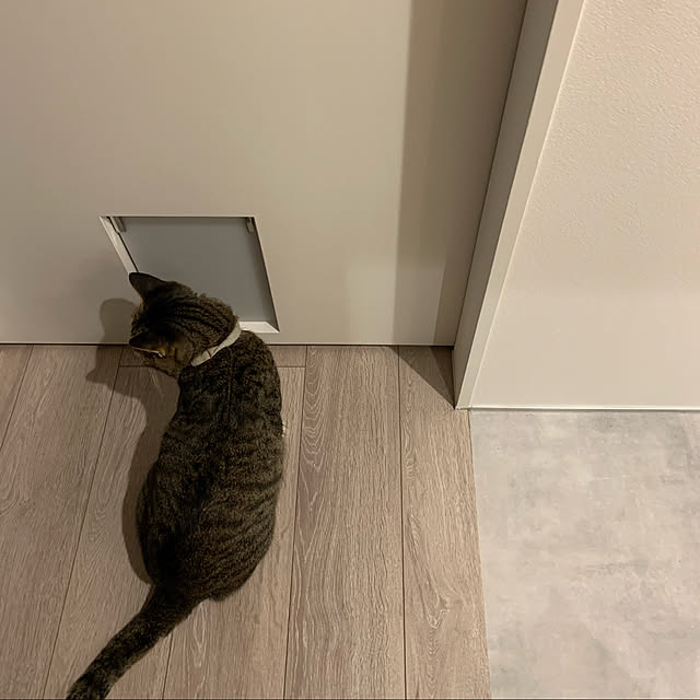______tnoieさんの実例写真