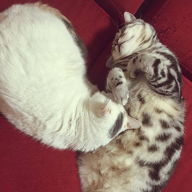 hiro_mashさんの実例写真