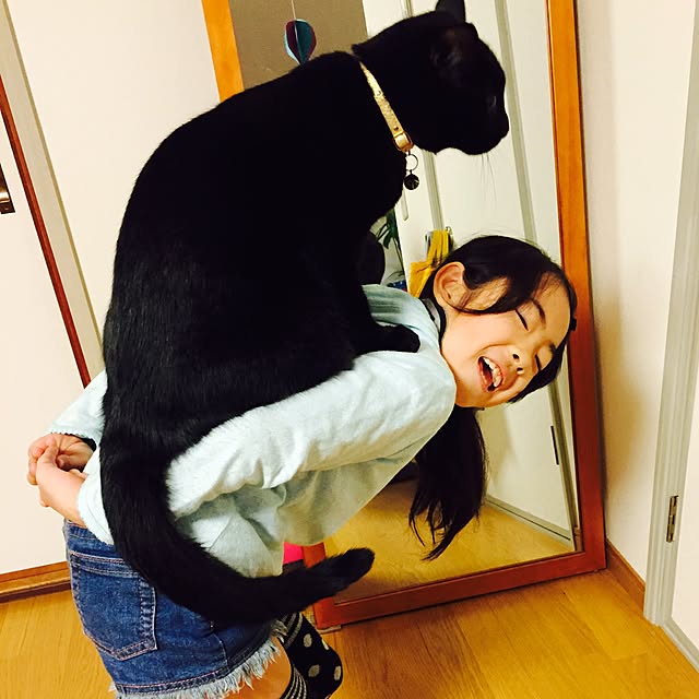 alcalinekoさんの実例写真