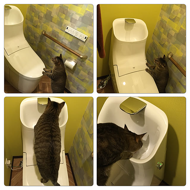 mikomaruさんの実例写真