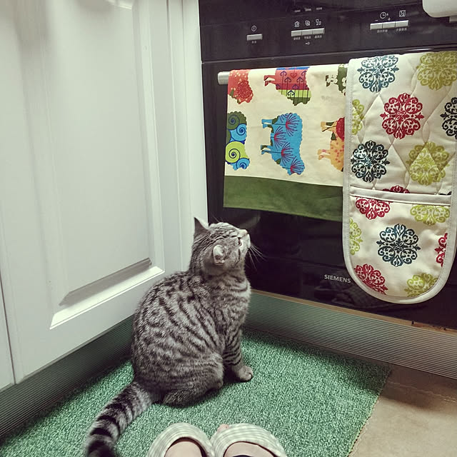 wendyさんの実例写真