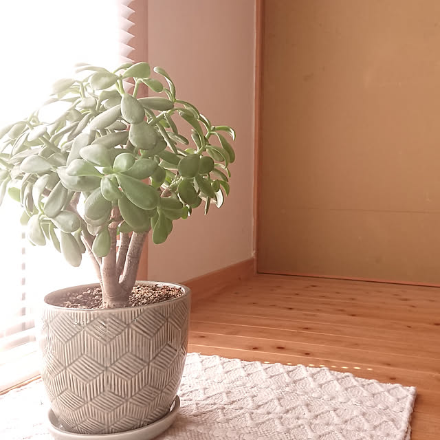 kakitaneさんの実例写真