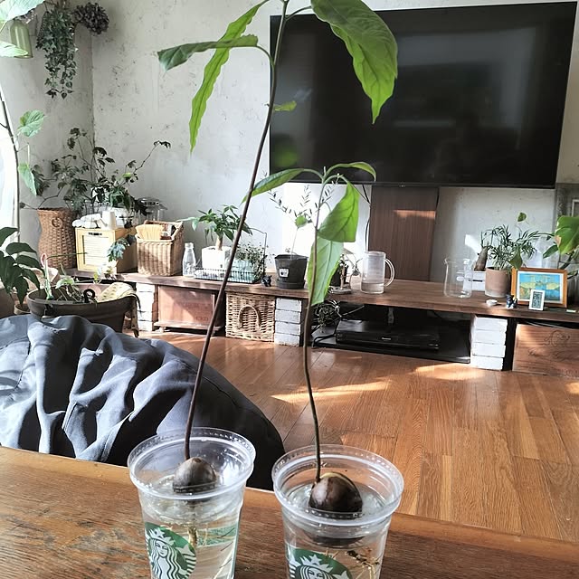 ganchan_0910さんの部屋