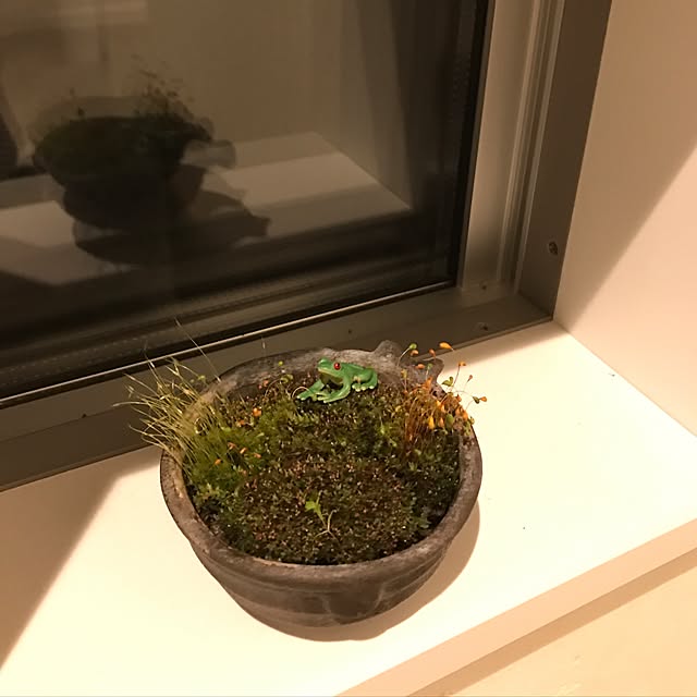 koge0525さんの実例写真