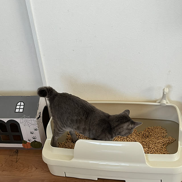 Pisaさんの実例写真