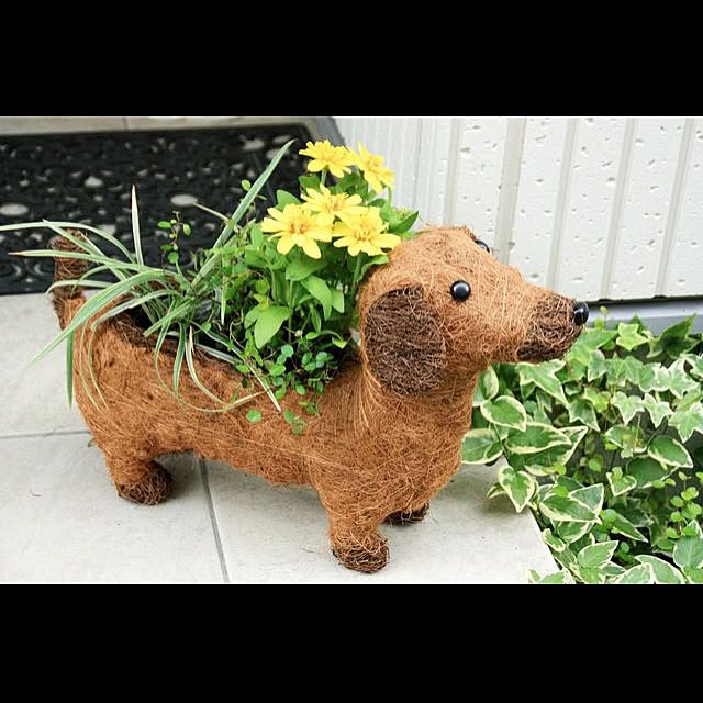 garden_life_saiさんの実例写真