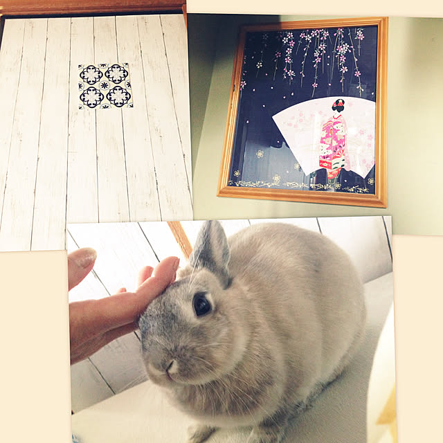 yokomokoさんの実例写真