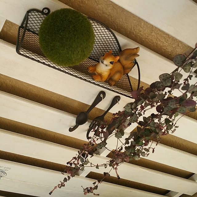 soraさんの実例写真