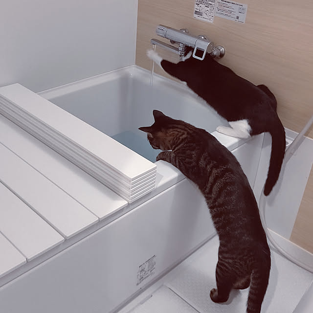 hihaさんの実例写真