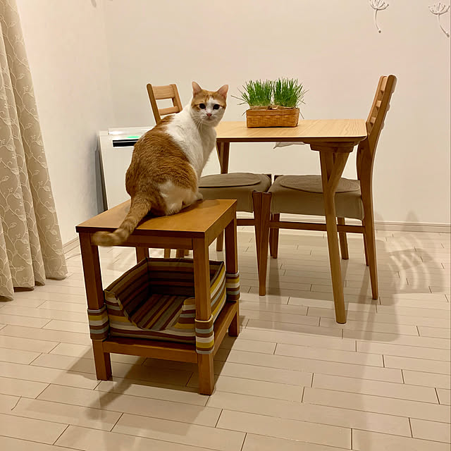 bikkeさんの実例写真