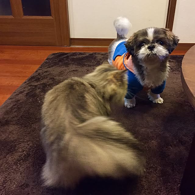 butachanさんの実例写真