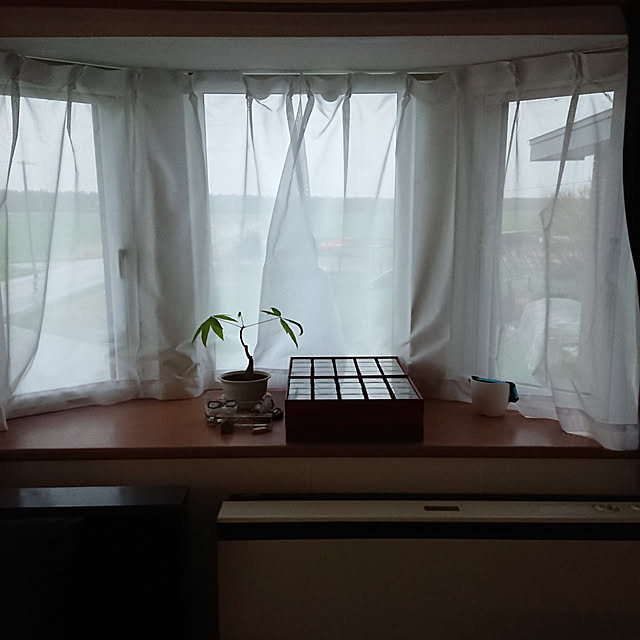 chanさんの実例写真