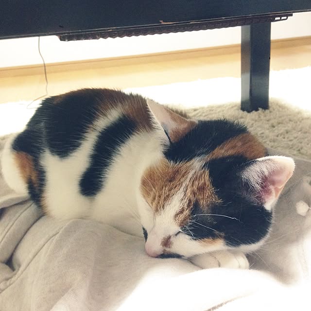 Kinanさんの実例写真