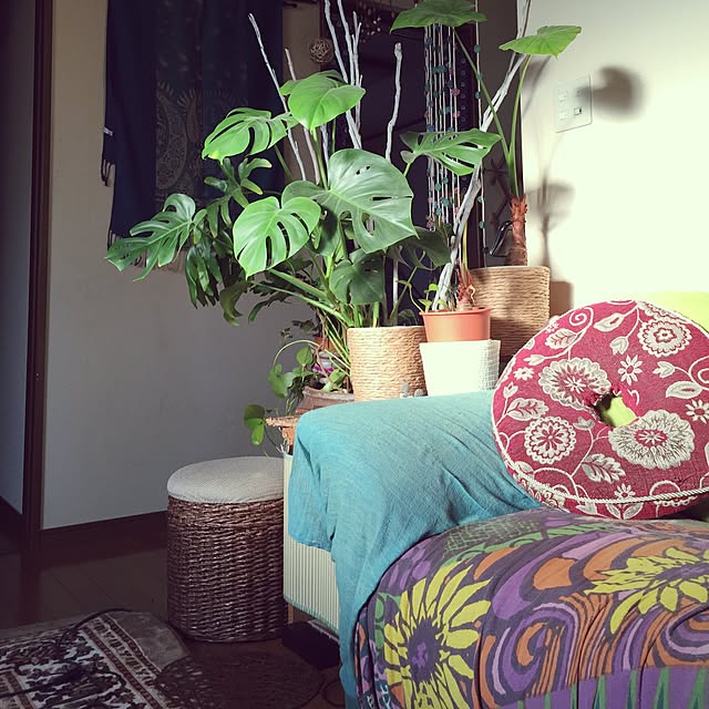 Norikoさんの部屋
