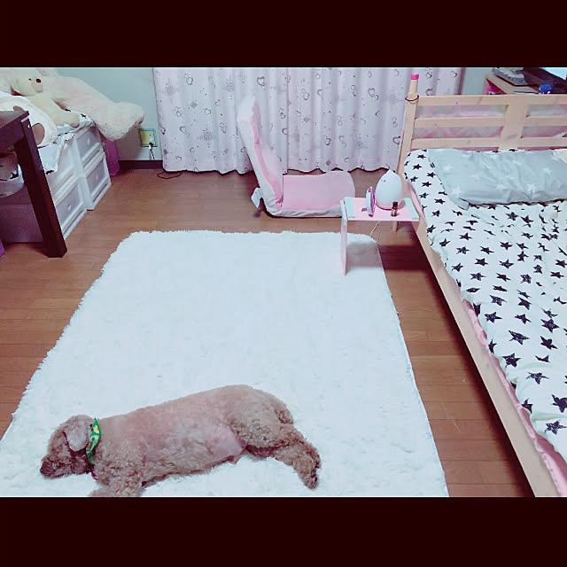 amecoさんの実例写真