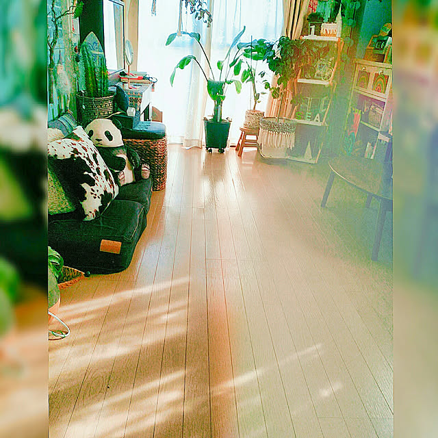 kyooonさんの実例写真