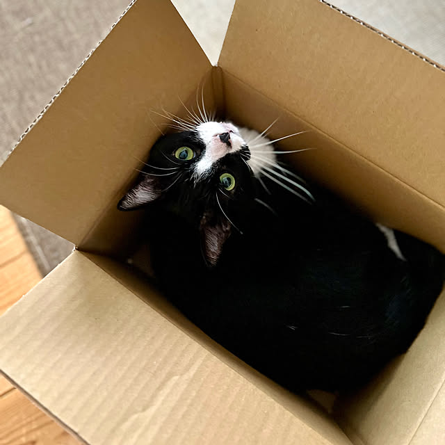pooさんの部屋