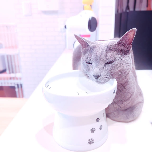 snoopyさんの実例写真