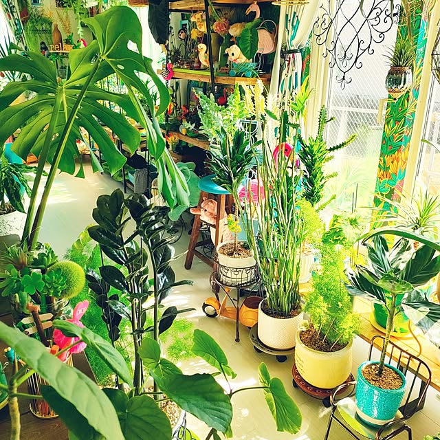 nacchanさんの部屋